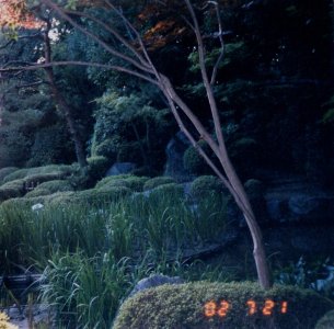 Click on photo for a larger version