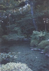Click on photo for a larger version